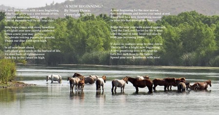 A New Beginning, Photo Poem 3.