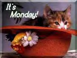Ir's Monday
