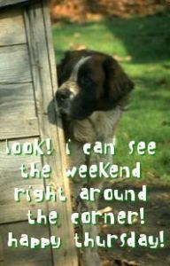 thurs dog