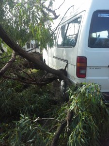 Jessica's house after storm (4)