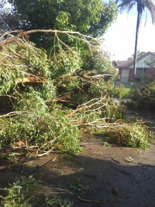 Jessica's house after storm (8)