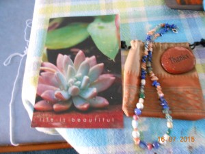 Gift from nicole (1)