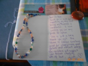 Gift from nicole (2)