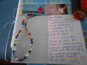 Gift from nicole (3)