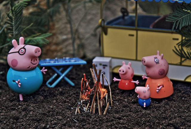 11102073456_0fd5a3641c_z