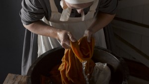 Meet-Ellen-Scott1-300x169