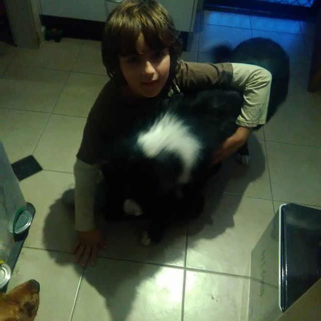 22639063_2043274832625628_4756369860173234176_n